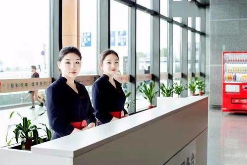 自助值機(jī)營銷員 駐點(diǎn)營銷經(jīng)理崗位等你來 真檸